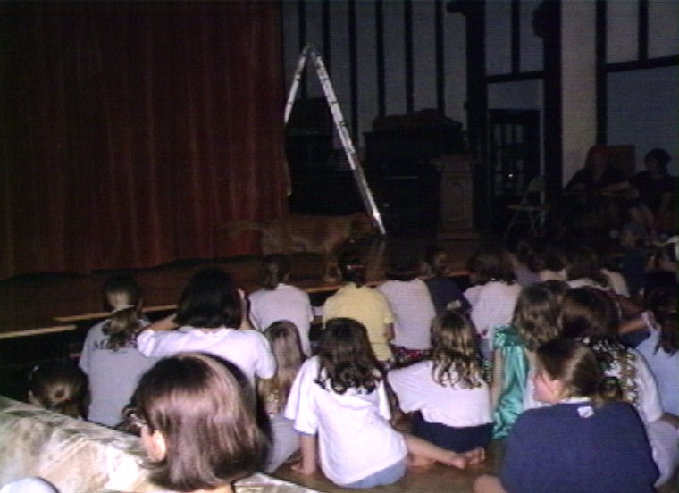 Plyc190.jpg - Camps mascot (”Mountain” Mike Rule’s dog) walking across the stage in Alford Logde.